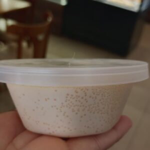 Pudim Zero Lactose (KG)